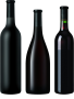 VINS